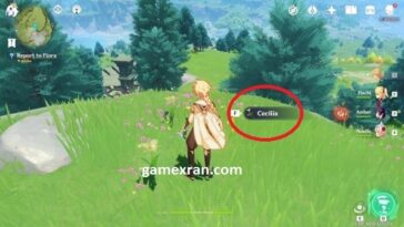 Apa itu Cecilia di Genshin Impact?